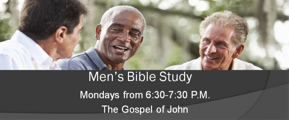 online bible study for men